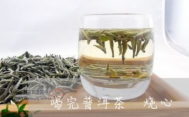 喝完普洱茶 烧心/2023041011592